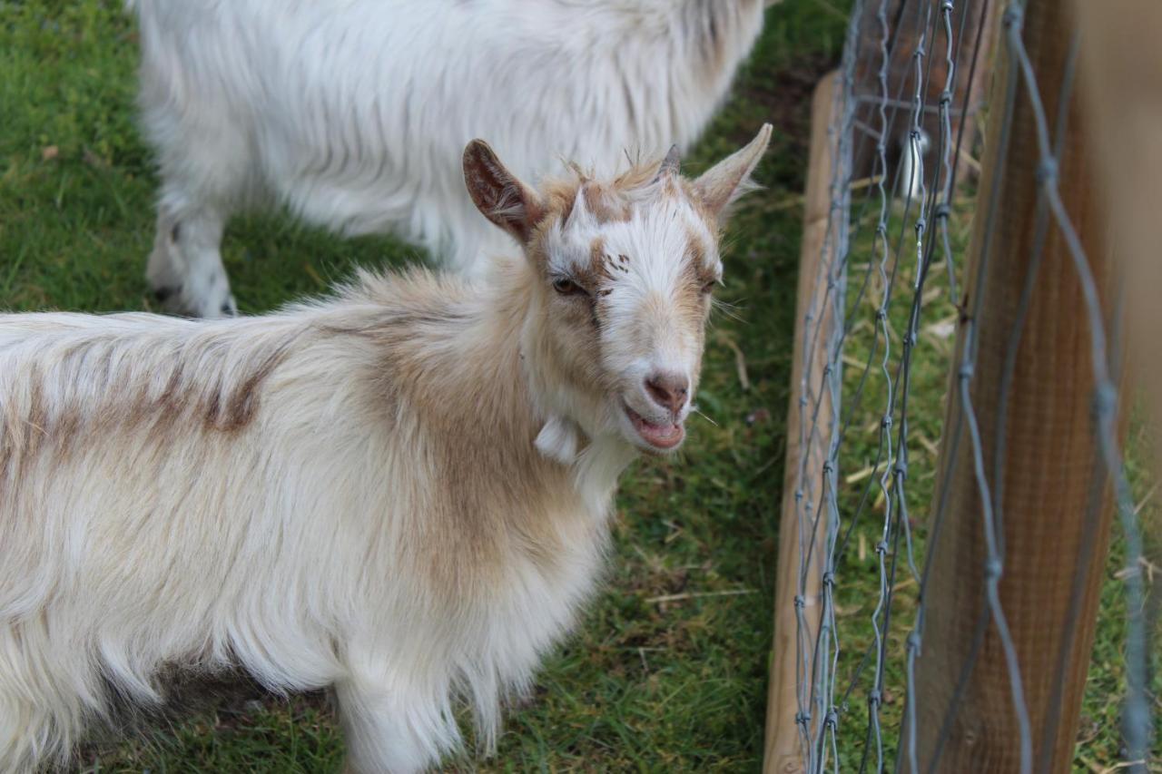 Ferme Des Poulardieres Crouy-sur-Cosson Luaran gambar