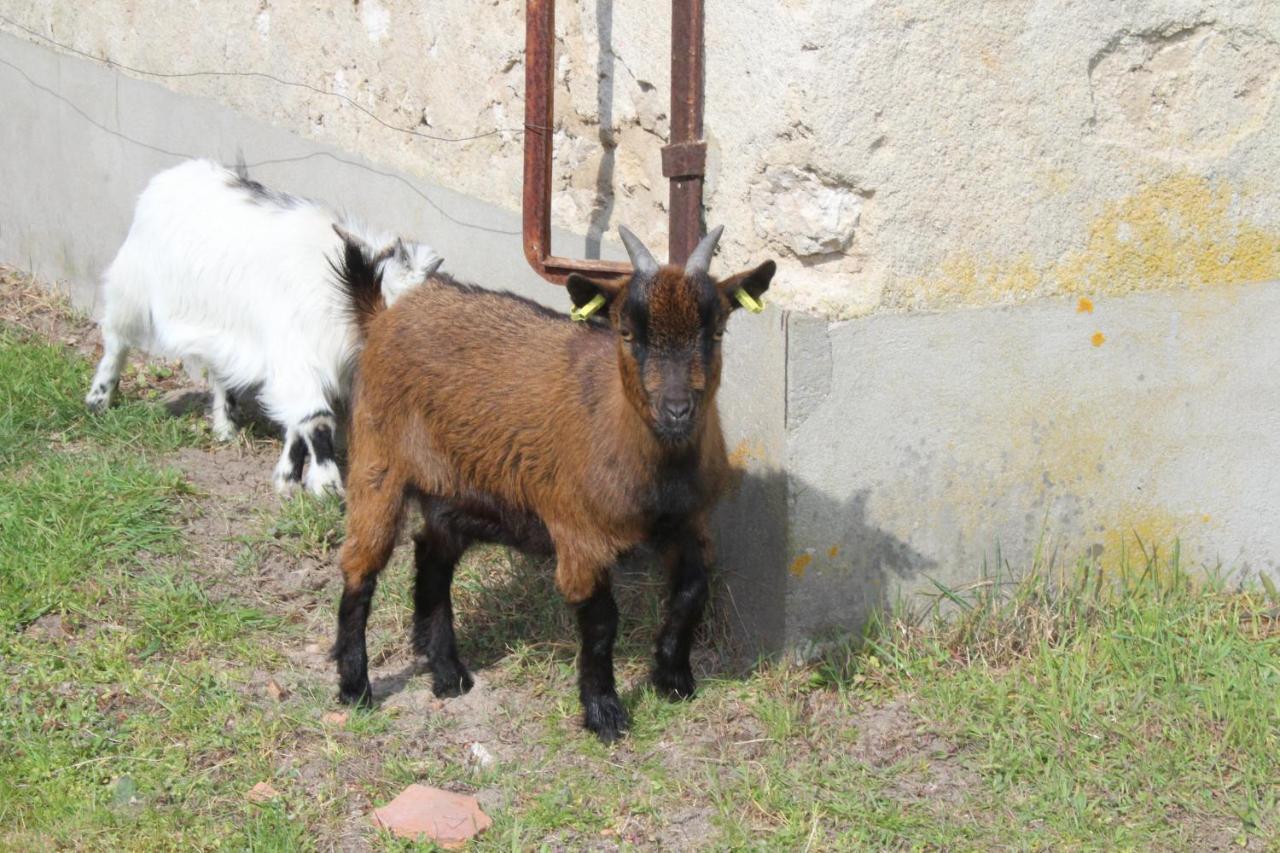 Ferme Des Poulardieres Crouy-sur-Cosson Luaran gambar