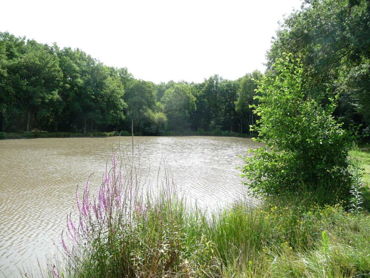Ferme Des Poulardieres Crouy-sur-Cosson Luaran gambar