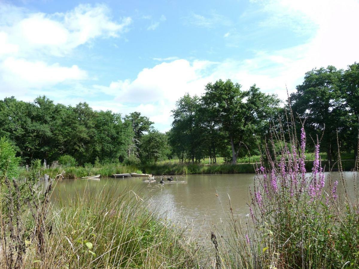 Ferme Des Poulardieres Crouy-sur-Cosson Luaran gambar