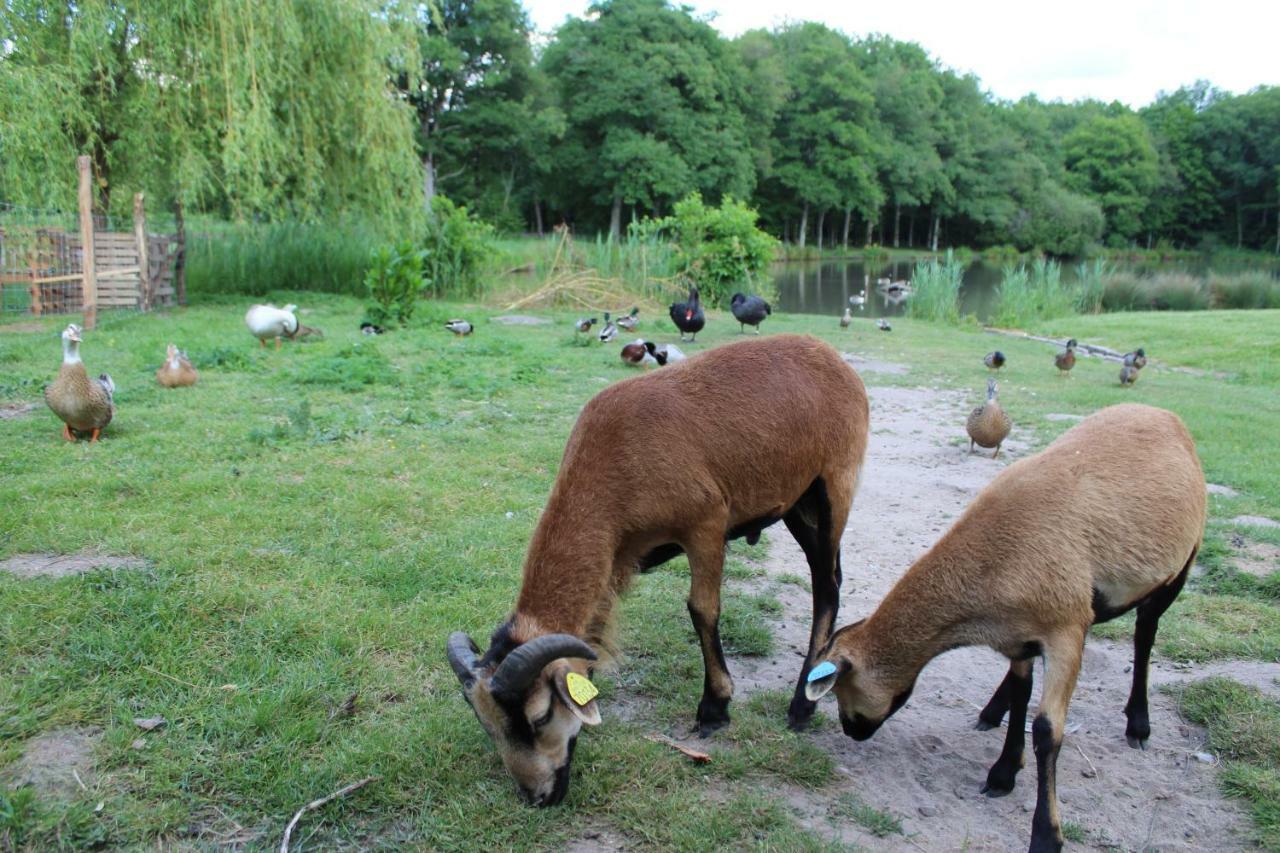 Ferme Des Poulardieres Crouy-sur-Cosson Luaran gambar