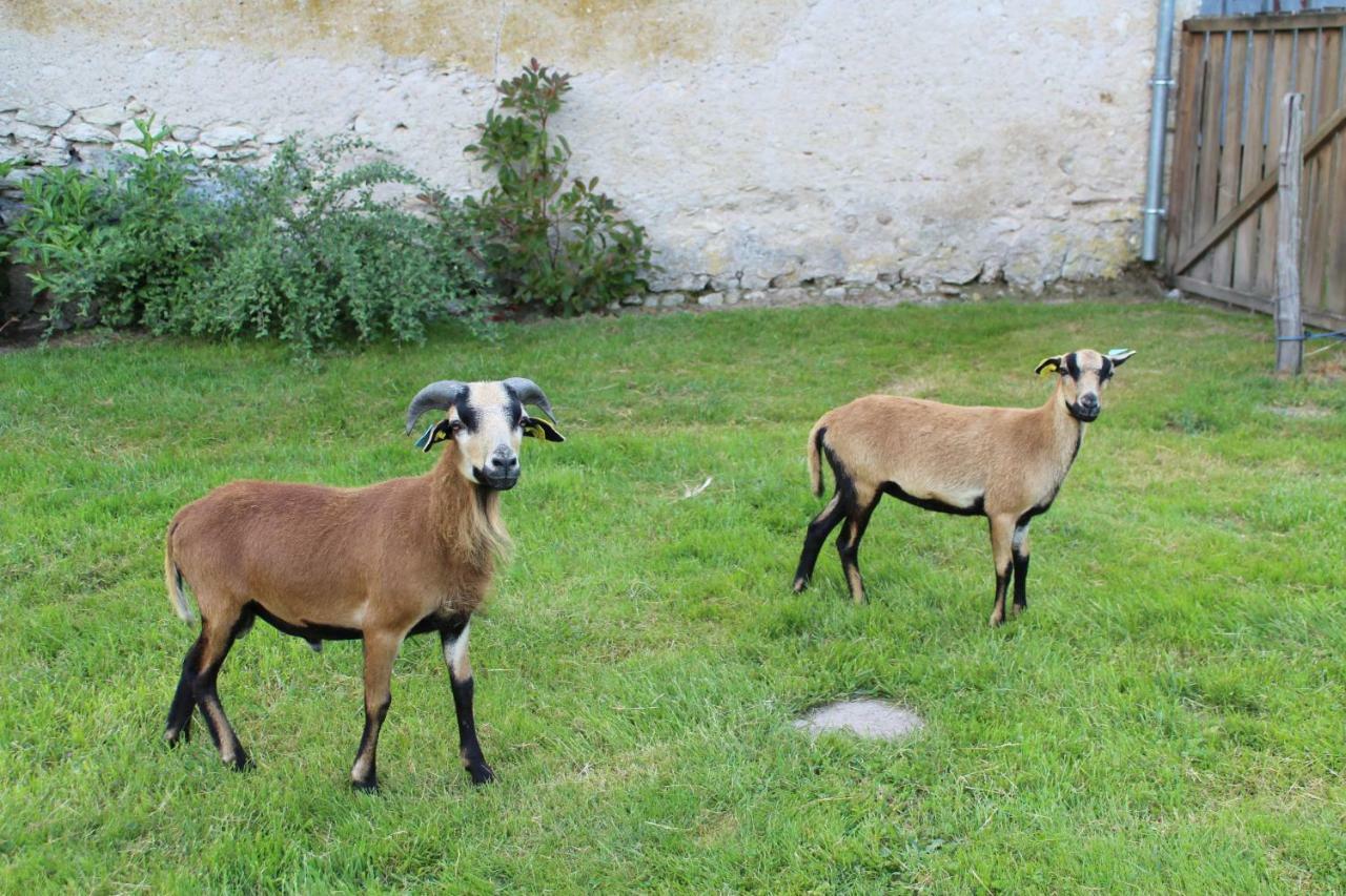 Ferme Des Poulardieres Crouy-sur-Cosson Luaran gambar